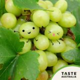Taste Australia’s It’s A Grape Day Photo Contest!