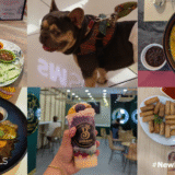 6 Pet-Friendly Food Destinations in SM City Manila To Munch on Good Food With Your Furbaby